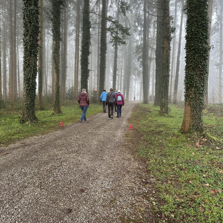 Spazieren-Marschieren